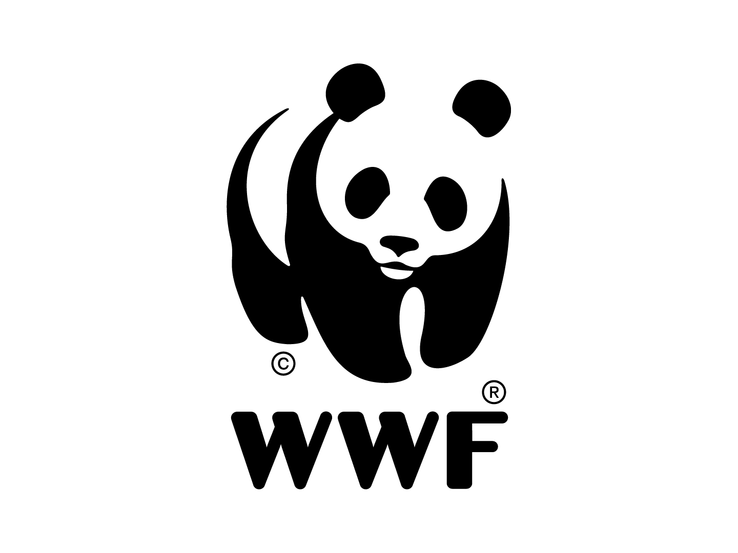 Partnership spotlight: WWF